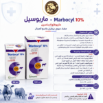 ماربوسيل 10% 50سم